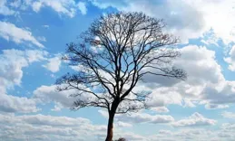 如何修出富貴相？