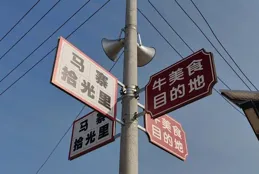 自駕安丘天路，遊馬寨拾光裏，登安丘最高峰，賞千年銀杏最美秋色