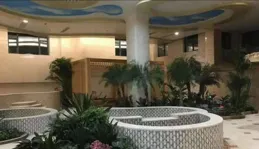 2024年最火的日本漫畫花落誰家？