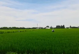 法國家庭農場經營特征、發展經驗及啟示