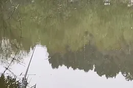 野釣這樣做，可以改變冬季「魚口輕」「魚口弱」