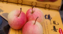 北京綠色有機地標農產品亮相廣州農交會