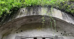 43軍老兵對越作戰回憶06：冒死排除絆發雷，抓豬時遇敵迫擊炮急襲