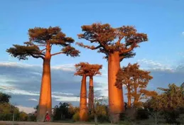 哪些因素可能會導致肺癌的發生呢？