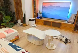 在追求家居美學的過程中，如何選擇一款電視機，使其既具備出色的音畫質又能與家居裝飾相得益彰？