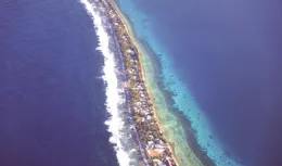 正在消失的國度：為了子孫，數位備份一草一木