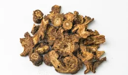 中醫治療腎病主要遵循以下五個原則！