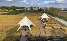 海派鄉村新圖景丨海派鄉村好去處：「躺稻田裏」喝咖啡，崇明這個村愜意得很