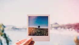 普通人？網友：不妨引導他追夢如星，願隨風而行！