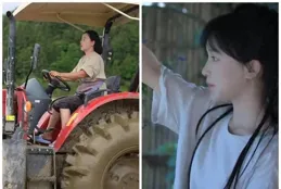 李子柒與沈丹，誰才是田園生活的真正代言人？