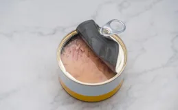 外媒：調查顯示，歐洲多國鮪魚罐頭汞含量達危險水平