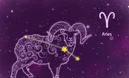 11月11日，十二星座，星座運勢