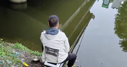 深秋正是大鯽魚開口期，降溫後鯽魚野釣攻略