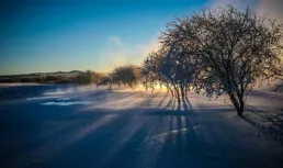 冬日的午後，是暖意，也是神傷。