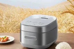 美的和九陽電飯煲哪個品質好？探尋最佳選擇