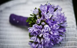 兒媳年薪30萬，每月給她父母5000，我有樣學樣也找兒子要5000，兒子怒：你退休金6000，湊什麽熱鬧