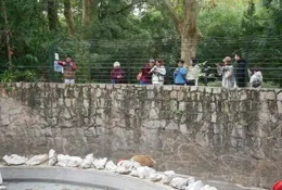 上海動物園的「新晉頂流」原來是它！