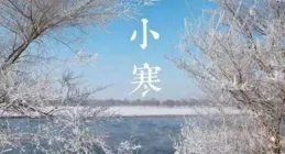 大雪紅梅，霜雪千年，氣節堅強，美麗鮮艷牽目
