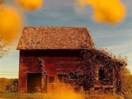 「撒丫子跑」具象化了奔赴自由與夢想