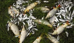 釣不到魚，基本是天氣沒選對，4種天氣出門，大魚狂拉到手酸