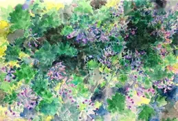 她花4年自學水彩，用「日記本」繪畫引粉10萬，看完細節舒服了！