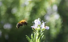 人生要耐得住漫長黑夜