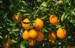 什麽都在改變物換星移再也回不到當初，只能無愧於心走好今後的路