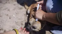 笑一笑，50張搞笑動圖：這牙齒花了一萬矯正，不過花的值！