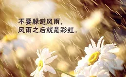 挑一句，適合十二月發的朋友圈文案，致過往、愛當下、敬余生