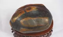 奇石觀賞: 鳳舞九天