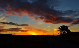 爆笑神評！網友提問：閨蜜從我家走了後在沙發上發現了這個，是啥