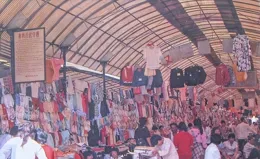 老照片裏的河南淮陽