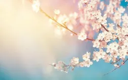 明年運勢特別好的星座榜，財星眷顧，好運重新開機，開啟人生新篇章