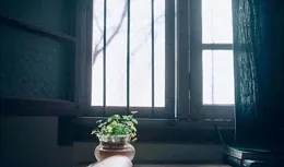 墓地太貴？這股「不留遺骨」風潮你怎麽看？