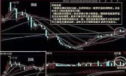 股神林園1300億財富來源於股市