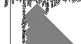 人工智慧能解決科學問題嗎？- Wolfram 博士的回答