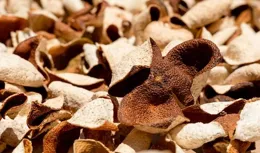 69歲大爺用陳皮泡茶喝，半年後復查，醫生直言：趕緊停下來