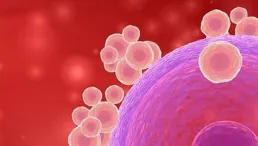 你的卵子，可能比你更會挑物件