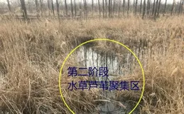 「一字形河流」如何釣？魚情分階段，選位分方法，釣法分技巧