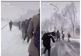 笑不活了，東北打雪仗怎麽不是一場規則怪談，要被評論區笑死了