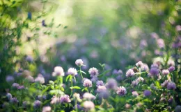 2024年底水逆重新開機，接下來運勢欠佳的星座，謹言慎行，絕地反擊