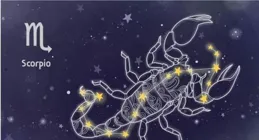 十二星座能量指南丨水象星座如何恢復正能量