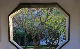 來蘇州這座身處鬧市的園林，賞初冬光影之美