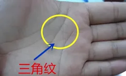 農村俗語：「三角紋在手，富到九十九」，三角紋在哪裏？準不準？