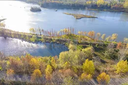 黃河濕地生態美