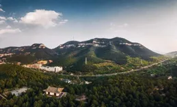 我大抵是太閑了，才會為情所困