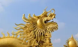 十二生肖，辰龍送福，金龍現世金芒璀璨、祥龍耀世、福澤萬裏 桌布