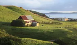 在這裏，最會摸魚的人才能當領導（字面意思）