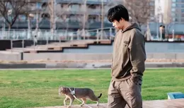 中國寵物數量大過嬰幼兒？1億家庭進入「貓狗富養時代」