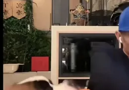 大冰被狗拖走：意外走紅，網友笑稱「最逗復播」